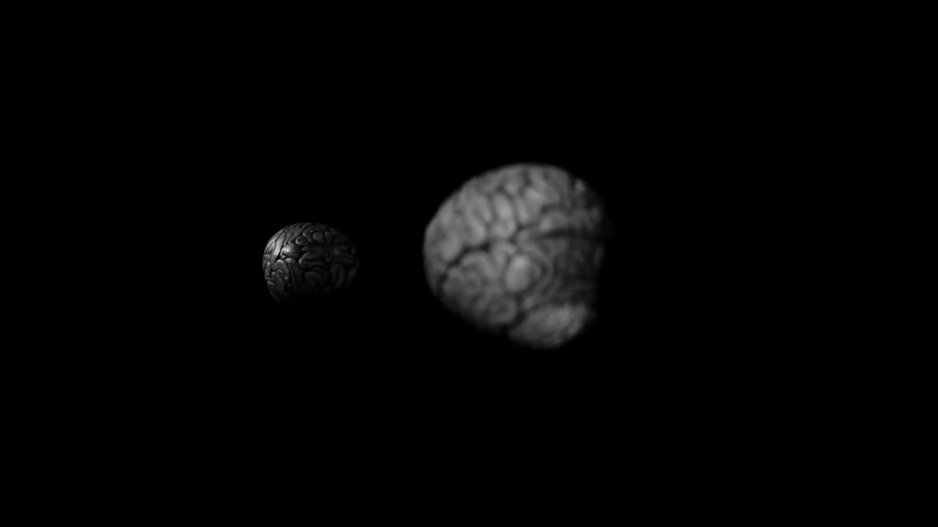 Brian; or, Brain