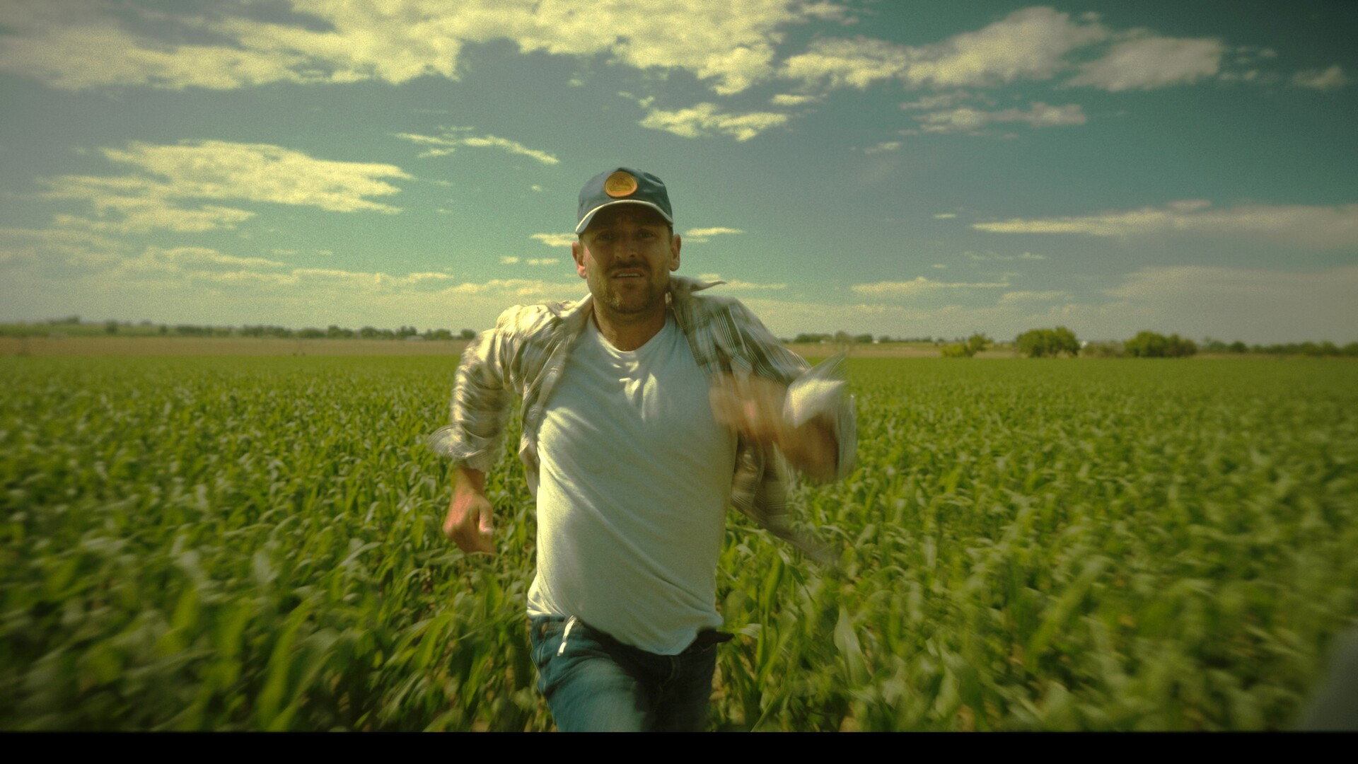 'Til Harvest Comes