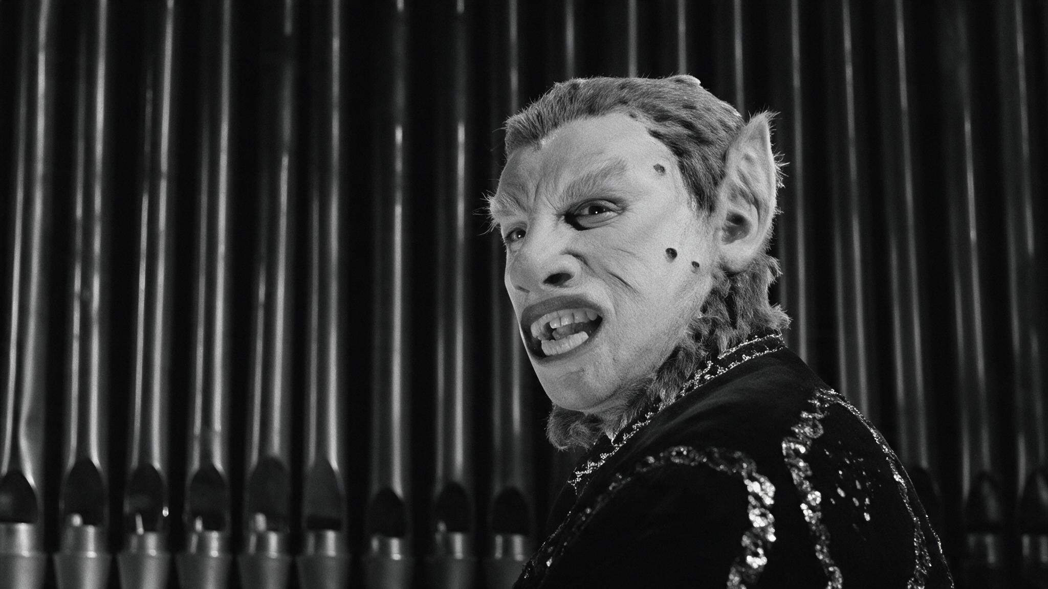 The Shadow of the Bat