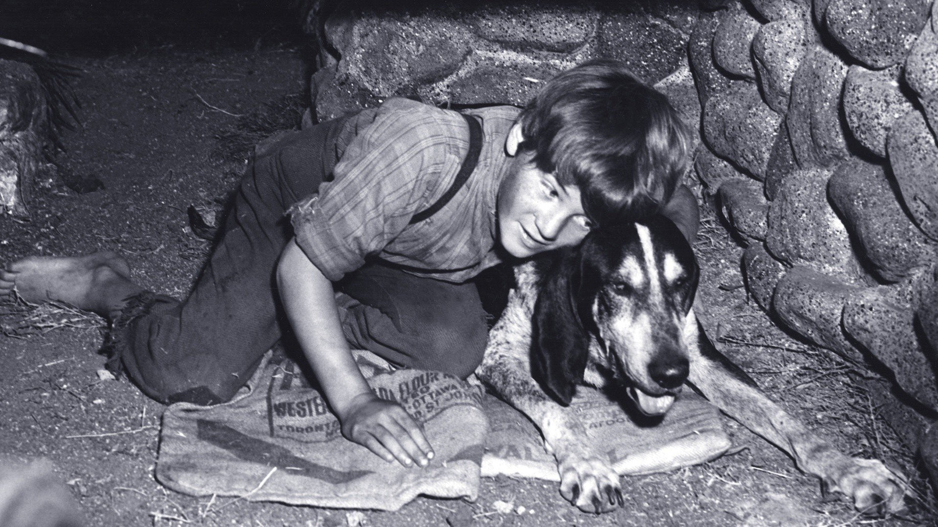 A Boy and His Dog
