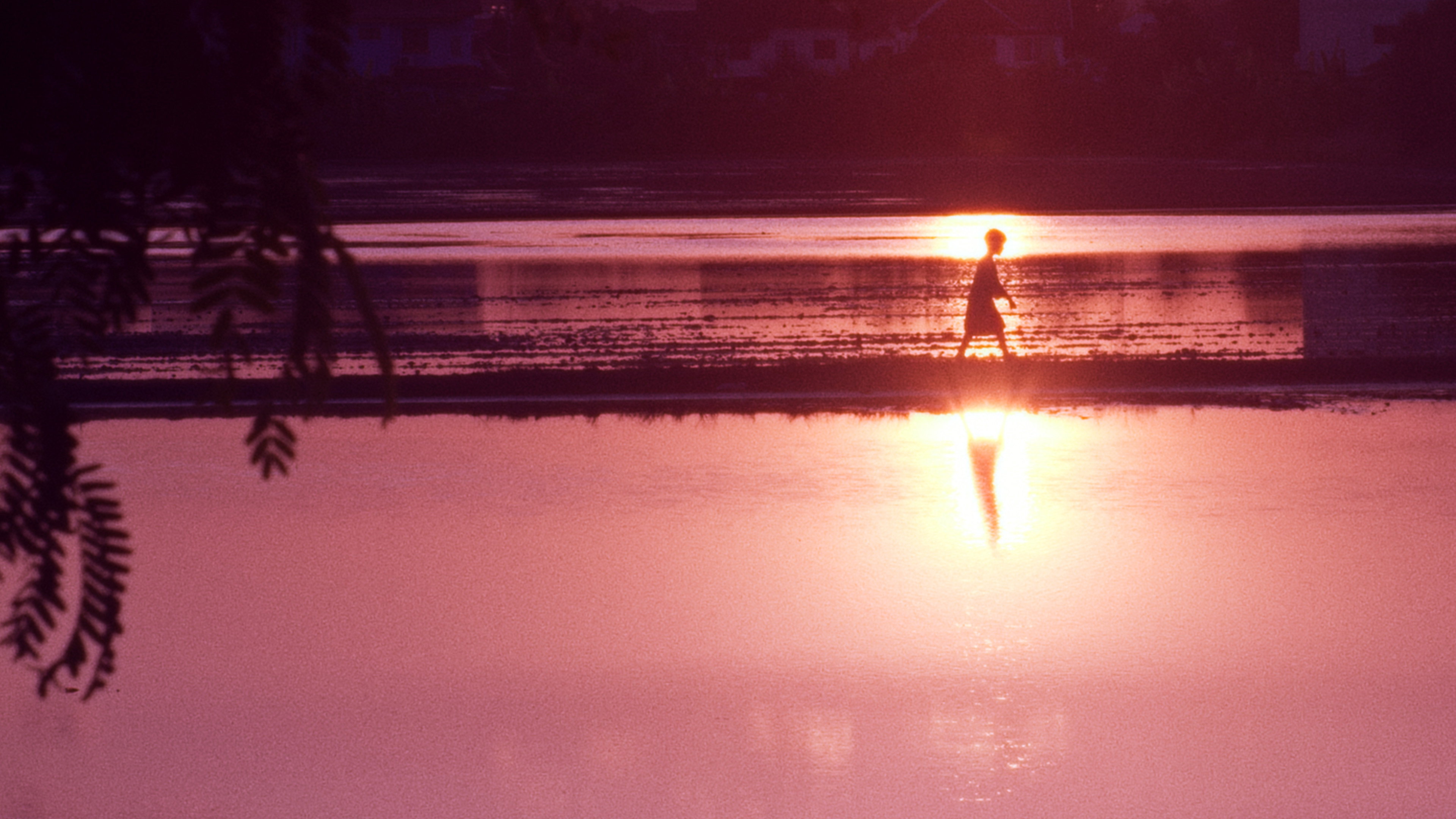 A Man and the Child