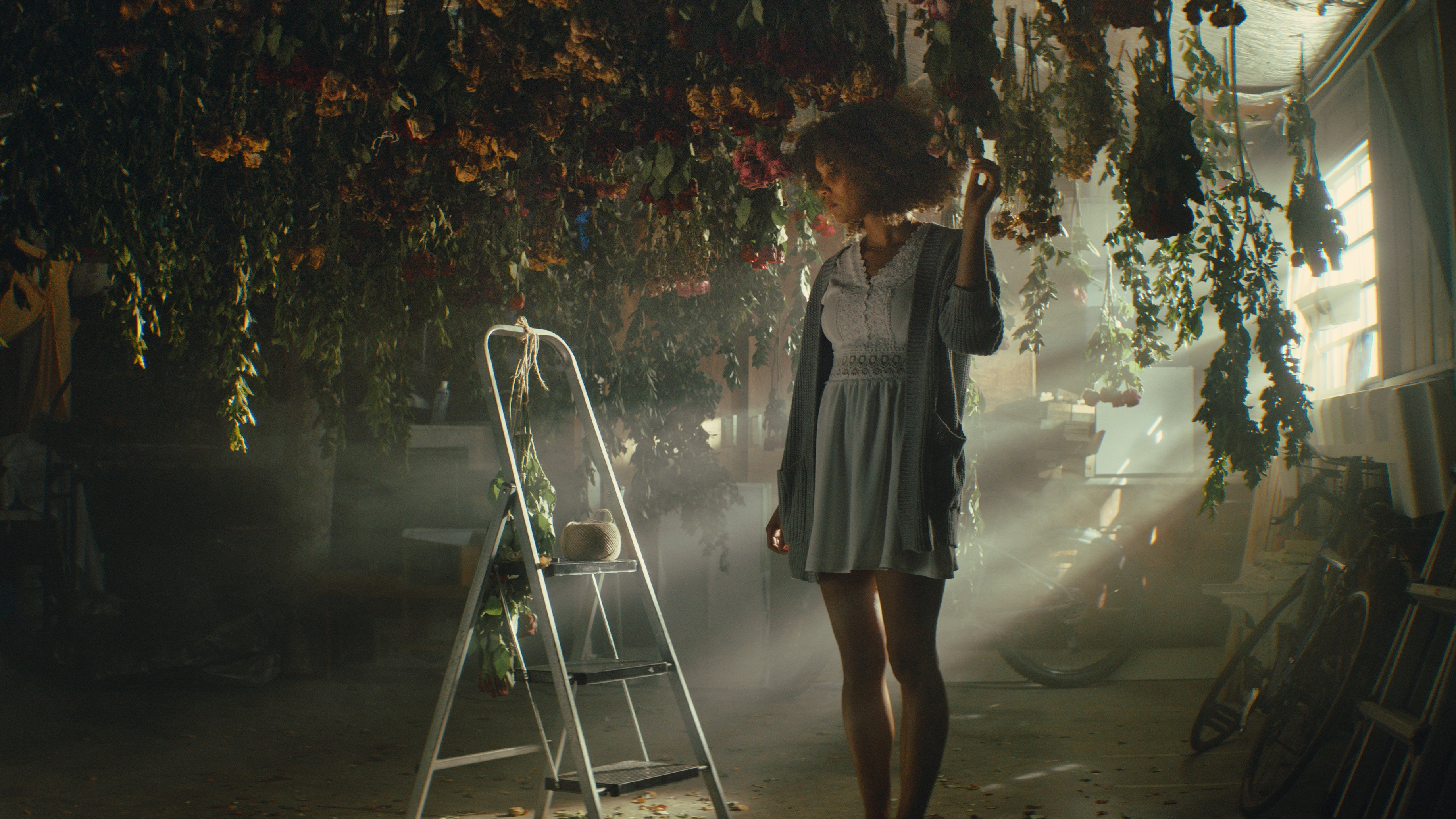The Wilted Rose