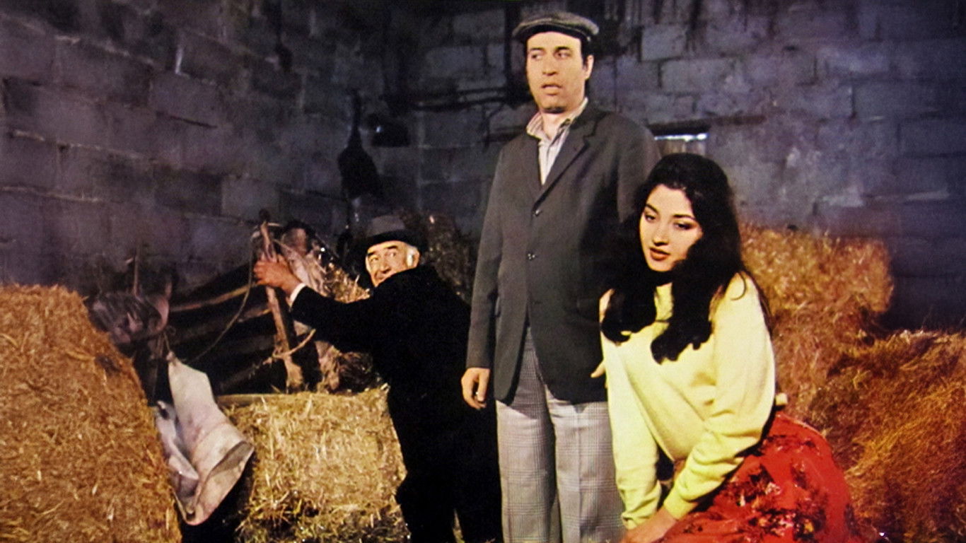 Tokatçı