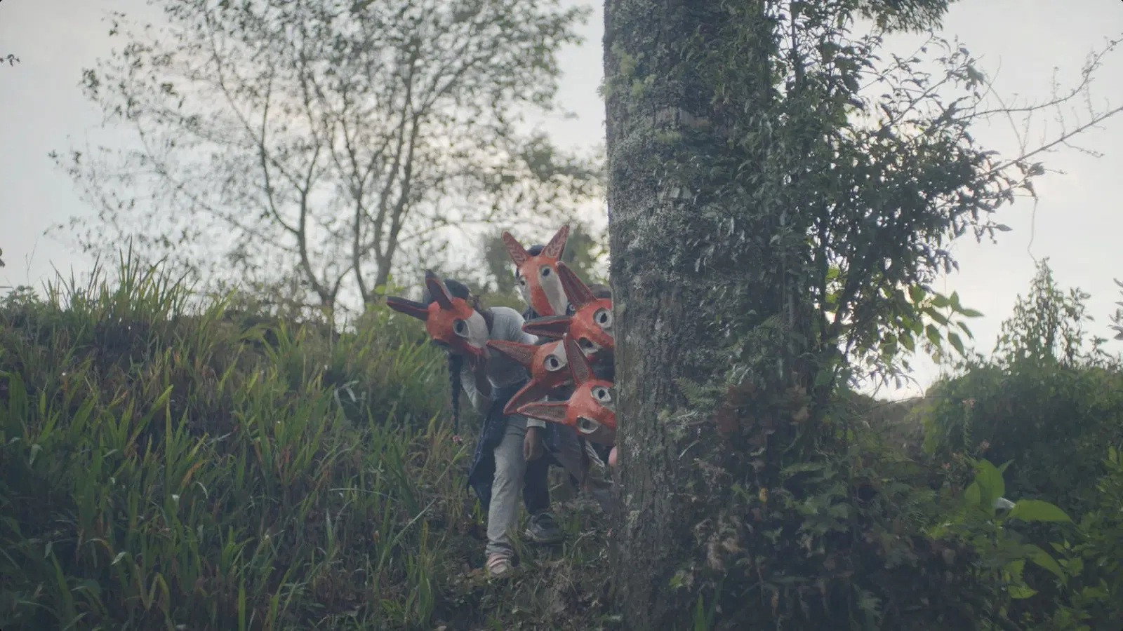 Little Foxes