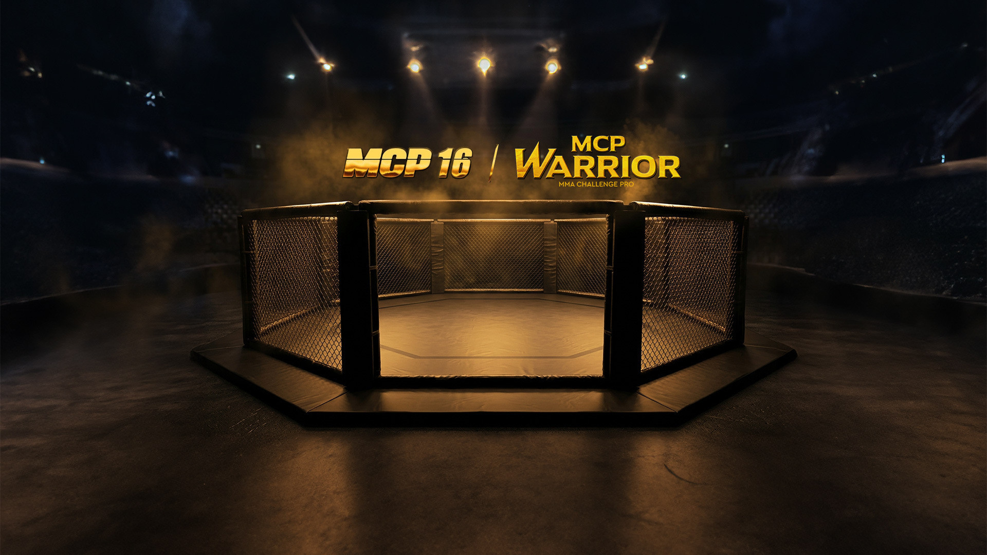MCP 16