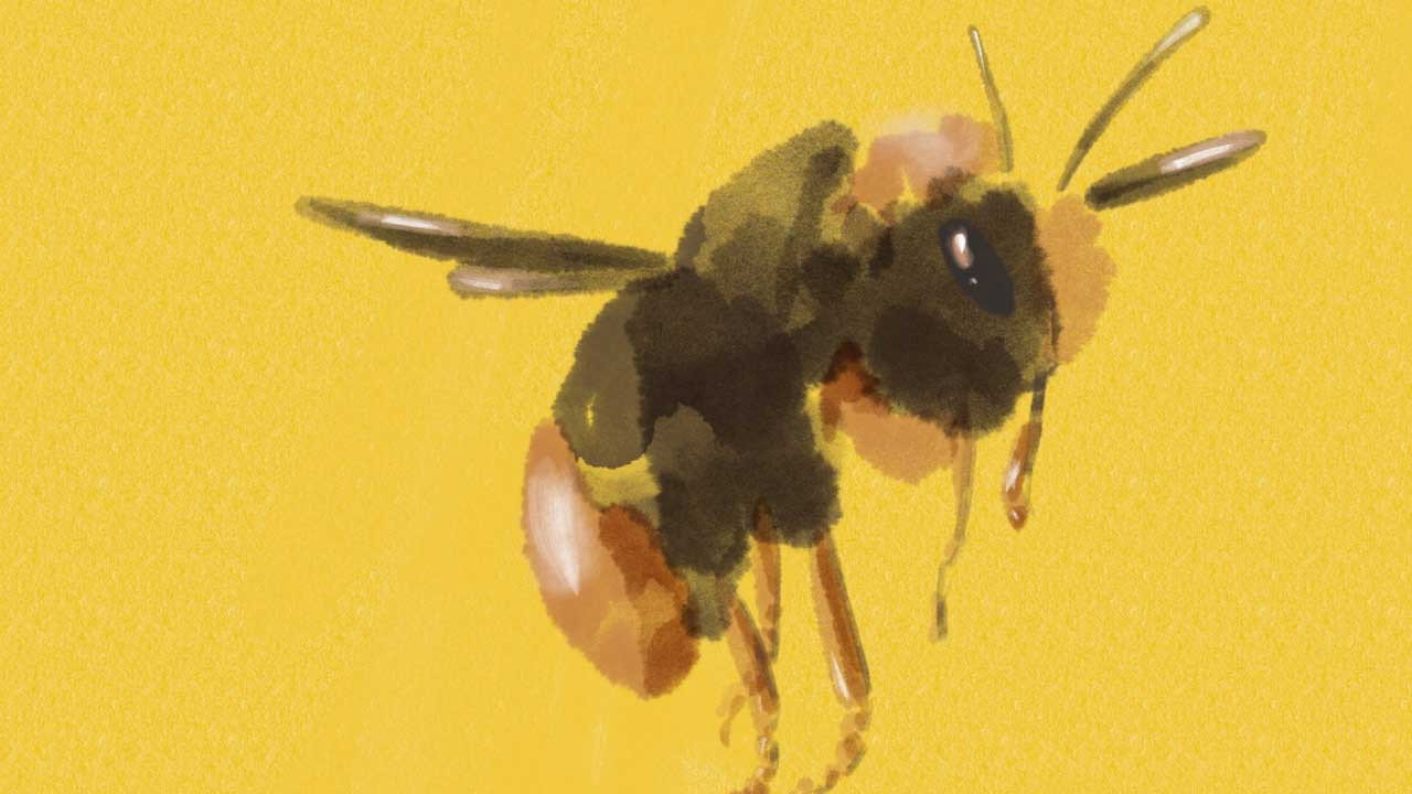 Bumblebee