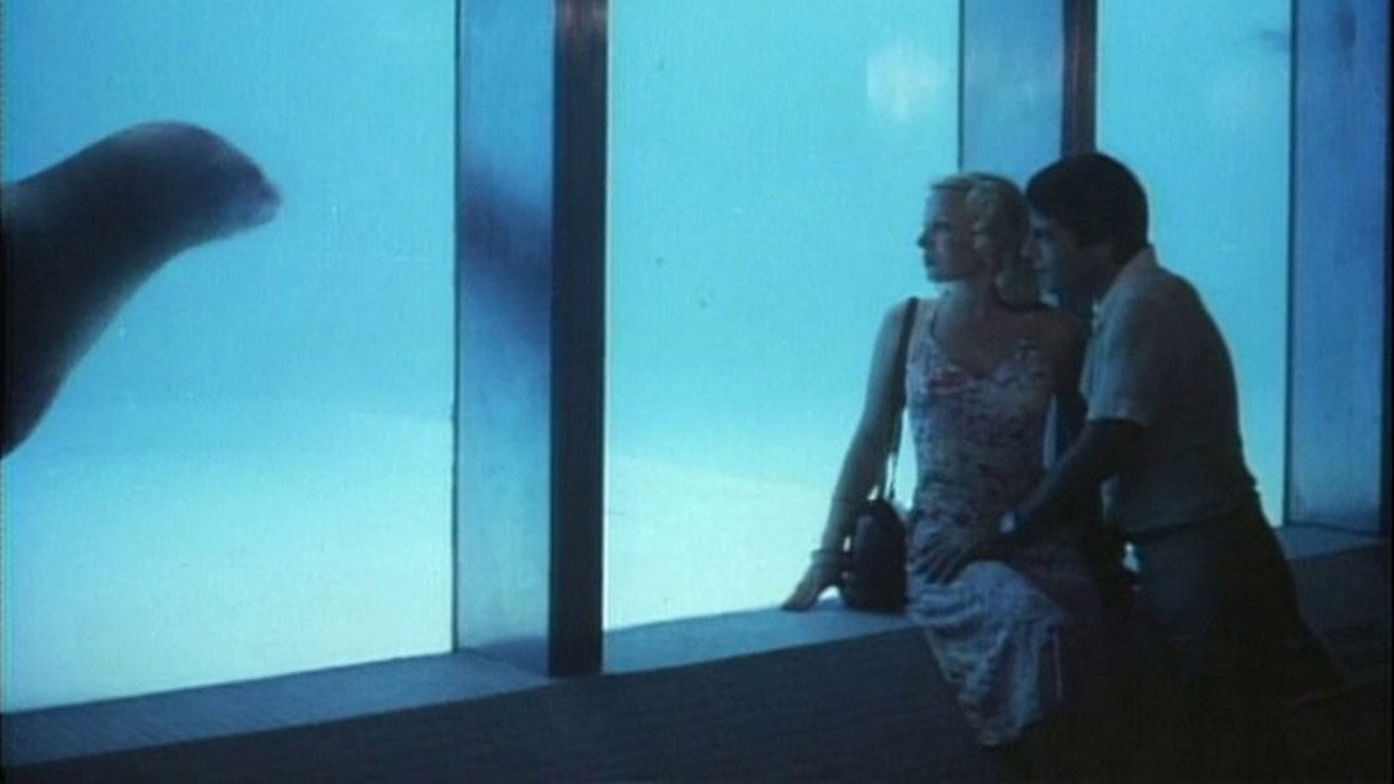 Love in Hong Kong