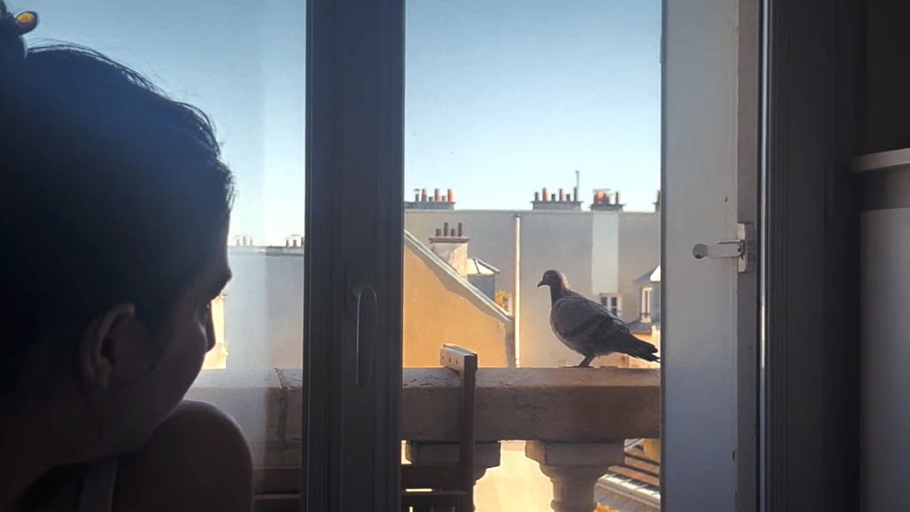 Sounds From Home