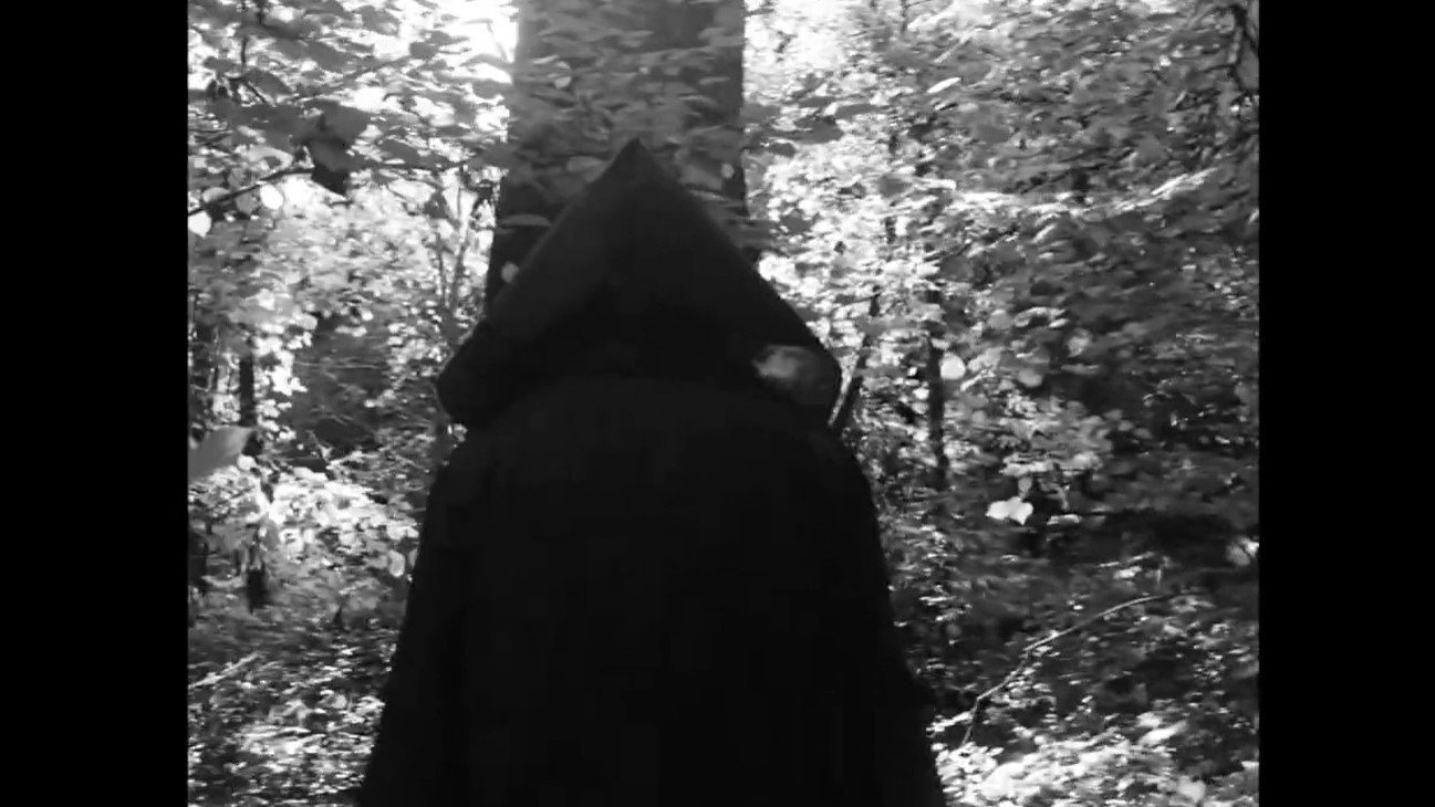 Echo of The Woods