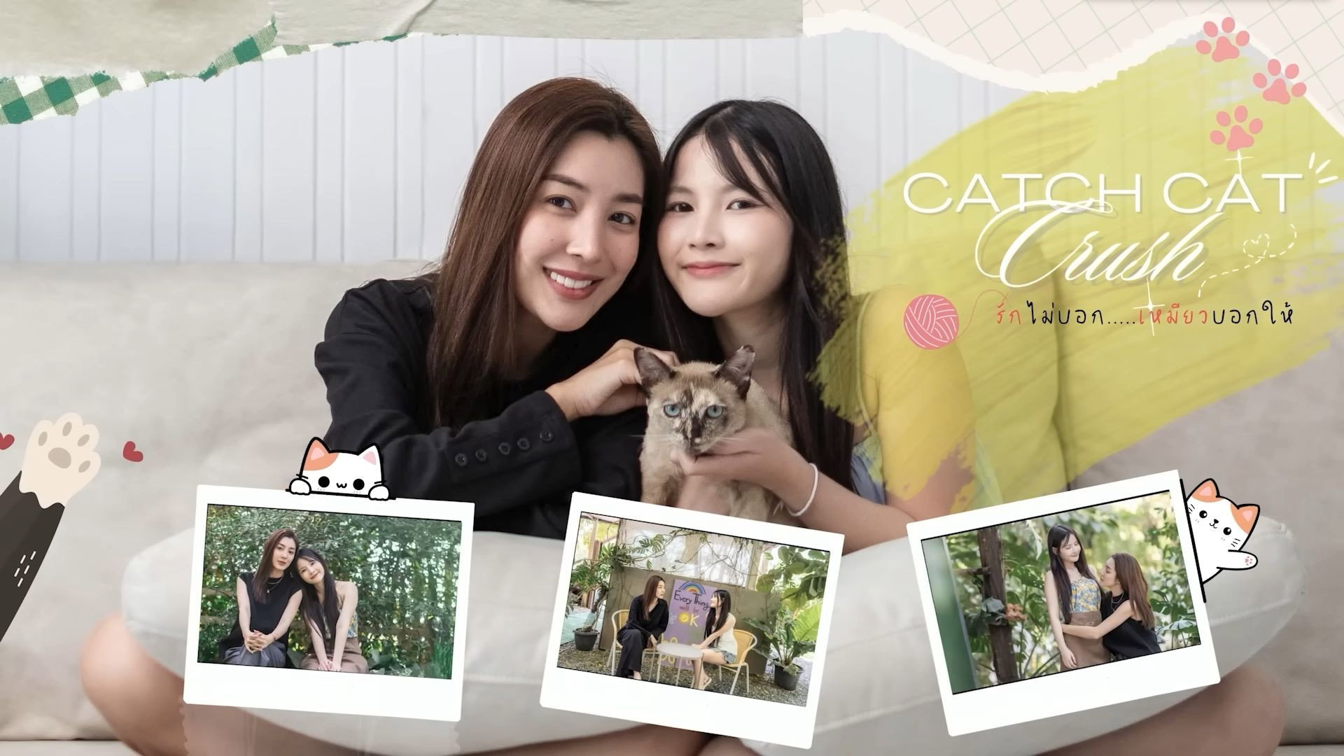 Catch Cat Crush