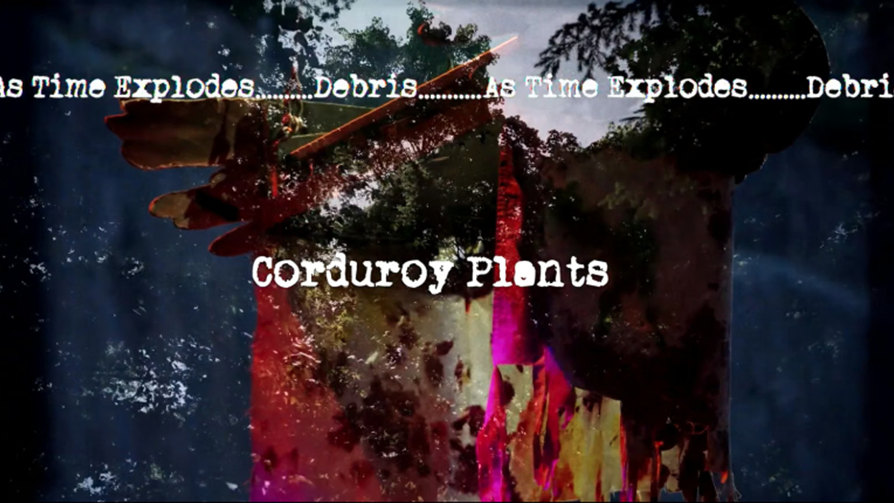 Corduroy Plants