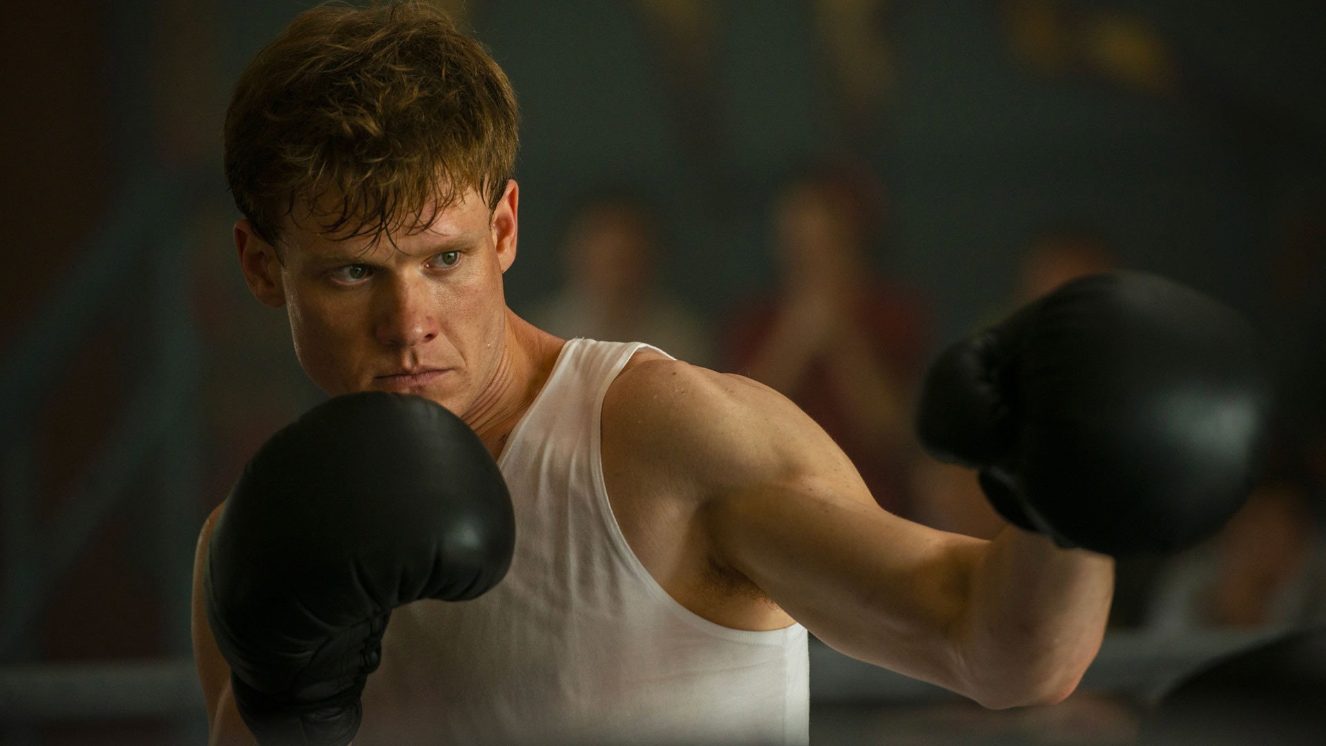 Mr. Knockout