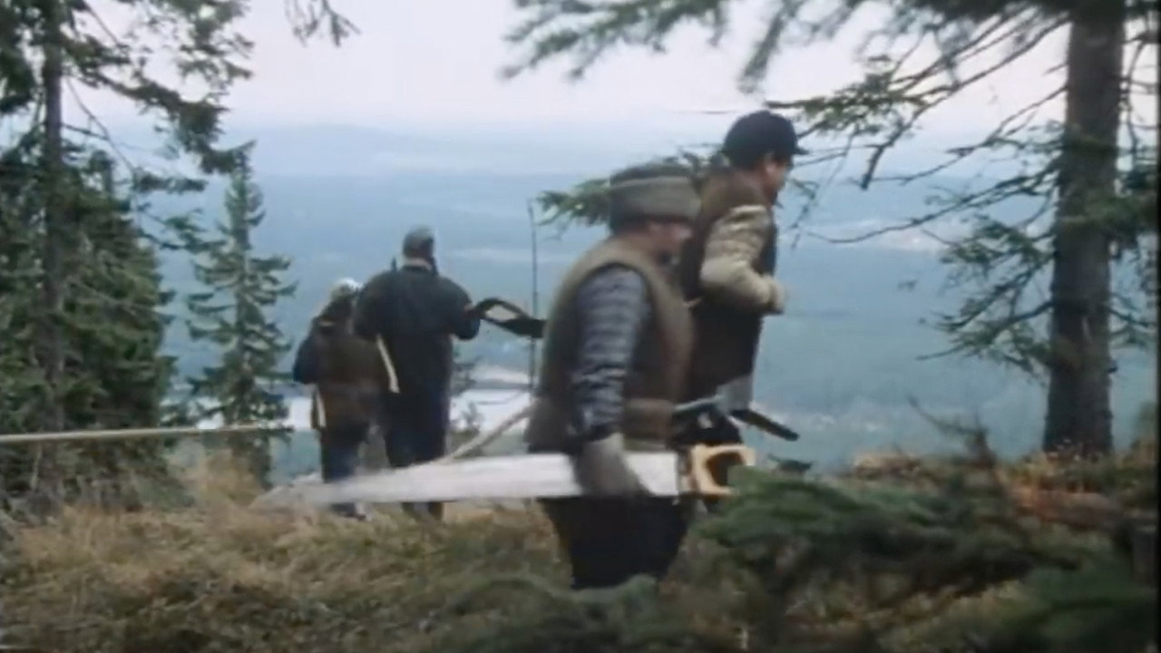 The Chainsaw