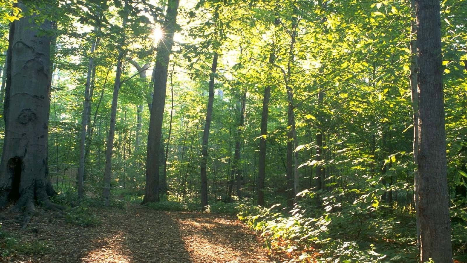 On Sacred Ground