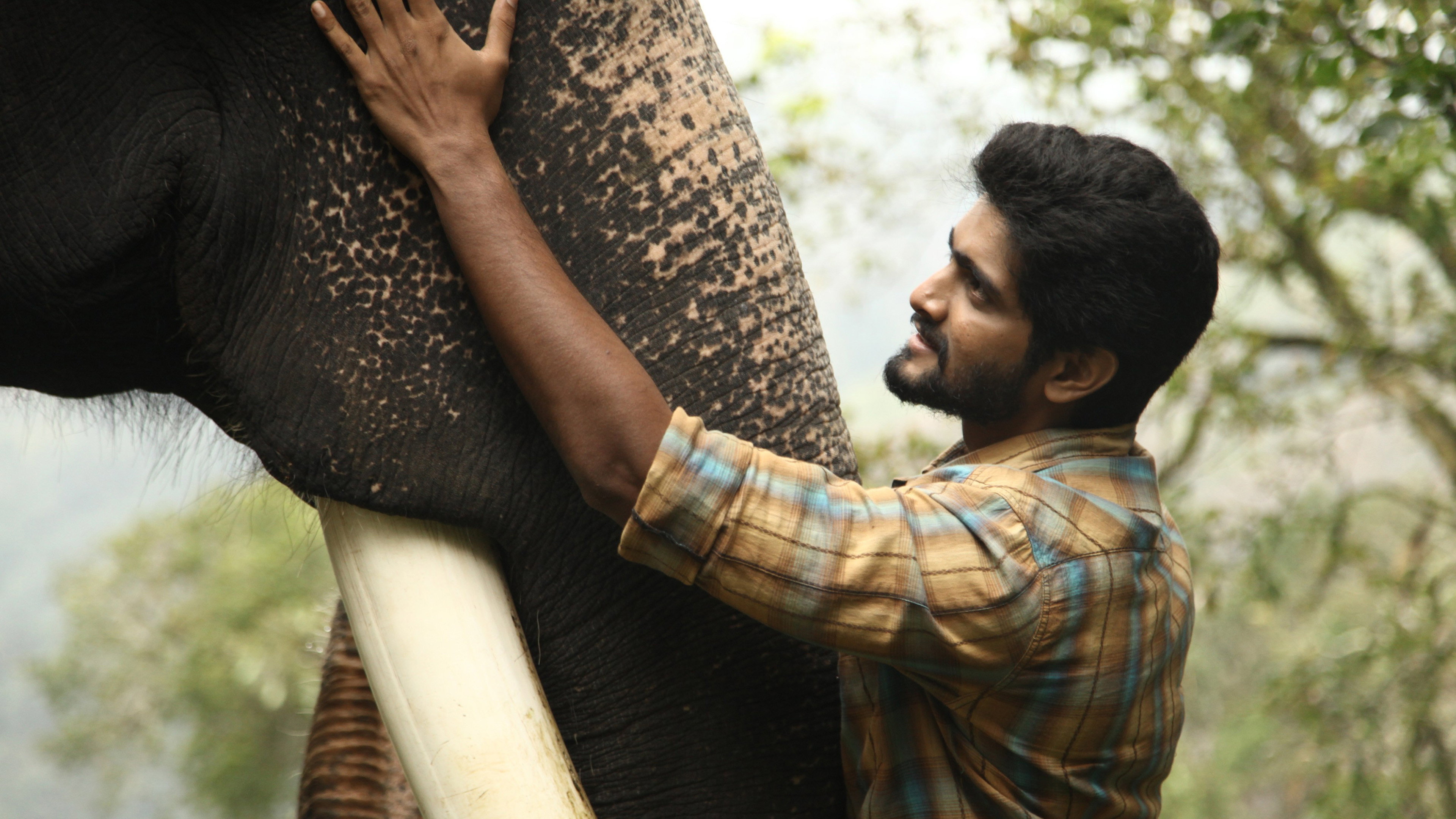 Kumki 2