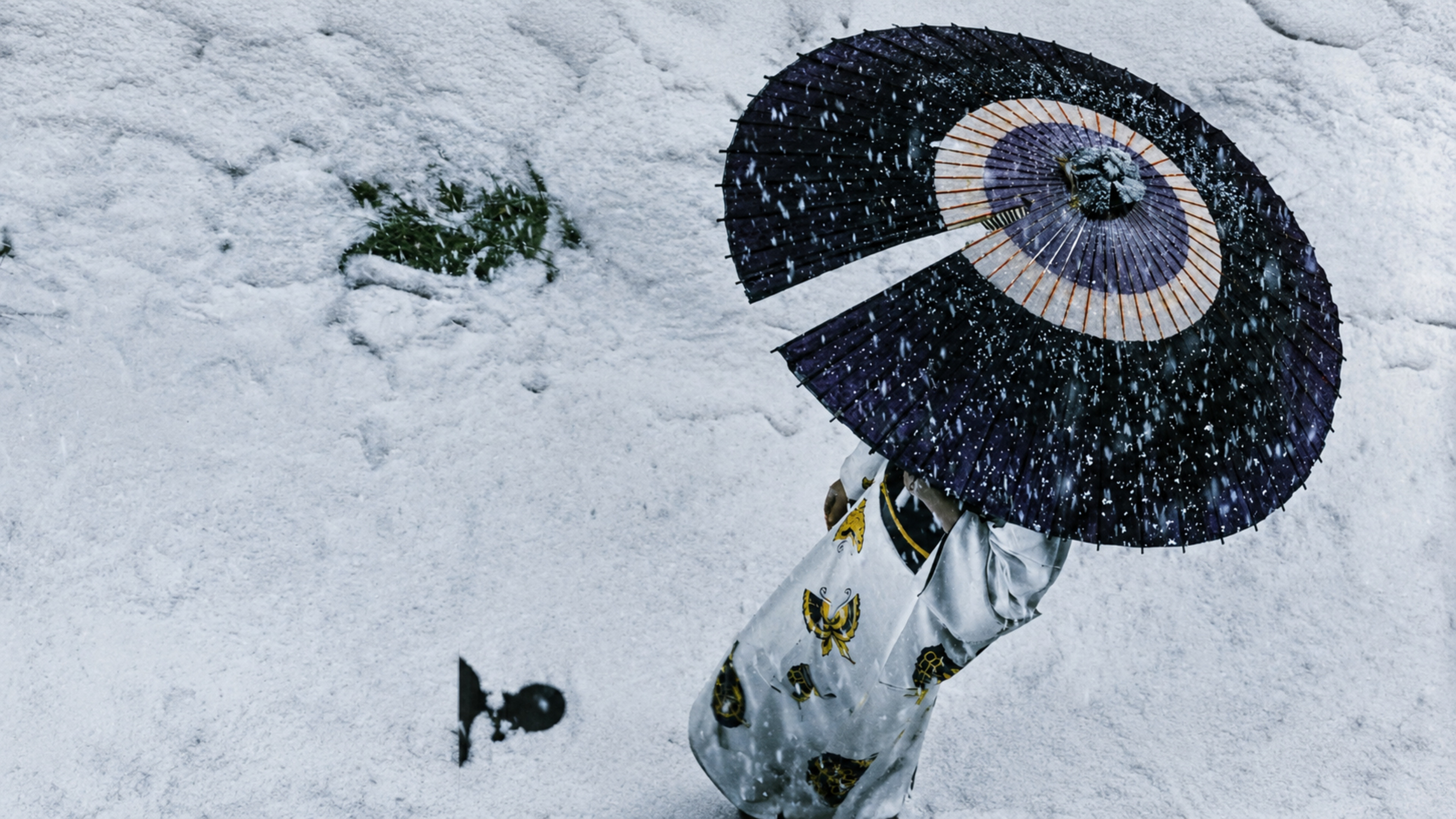 Lady Snowblood
