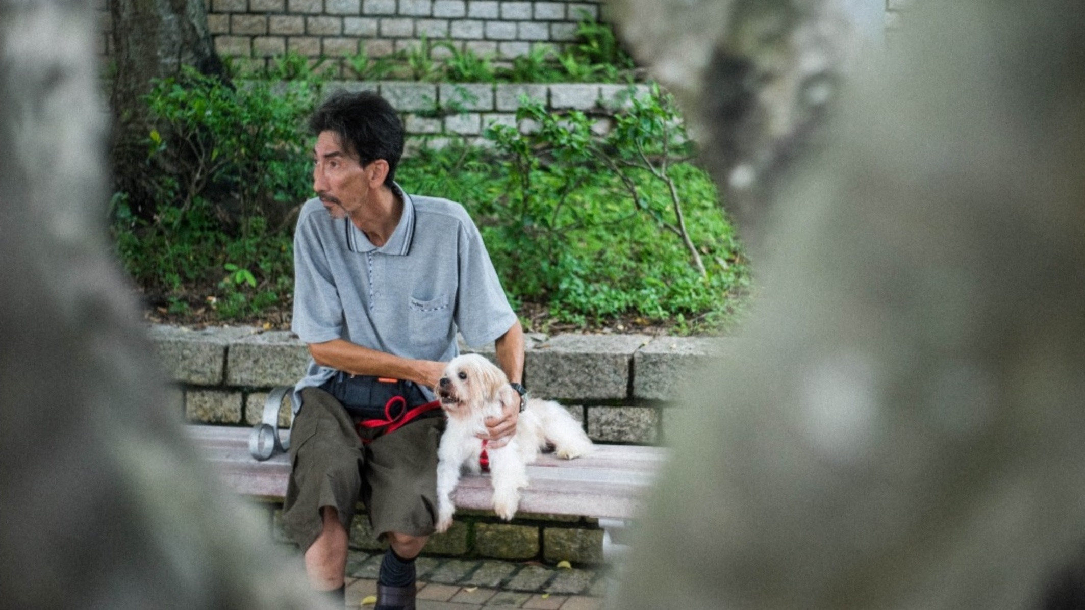 Old Man and A Dog