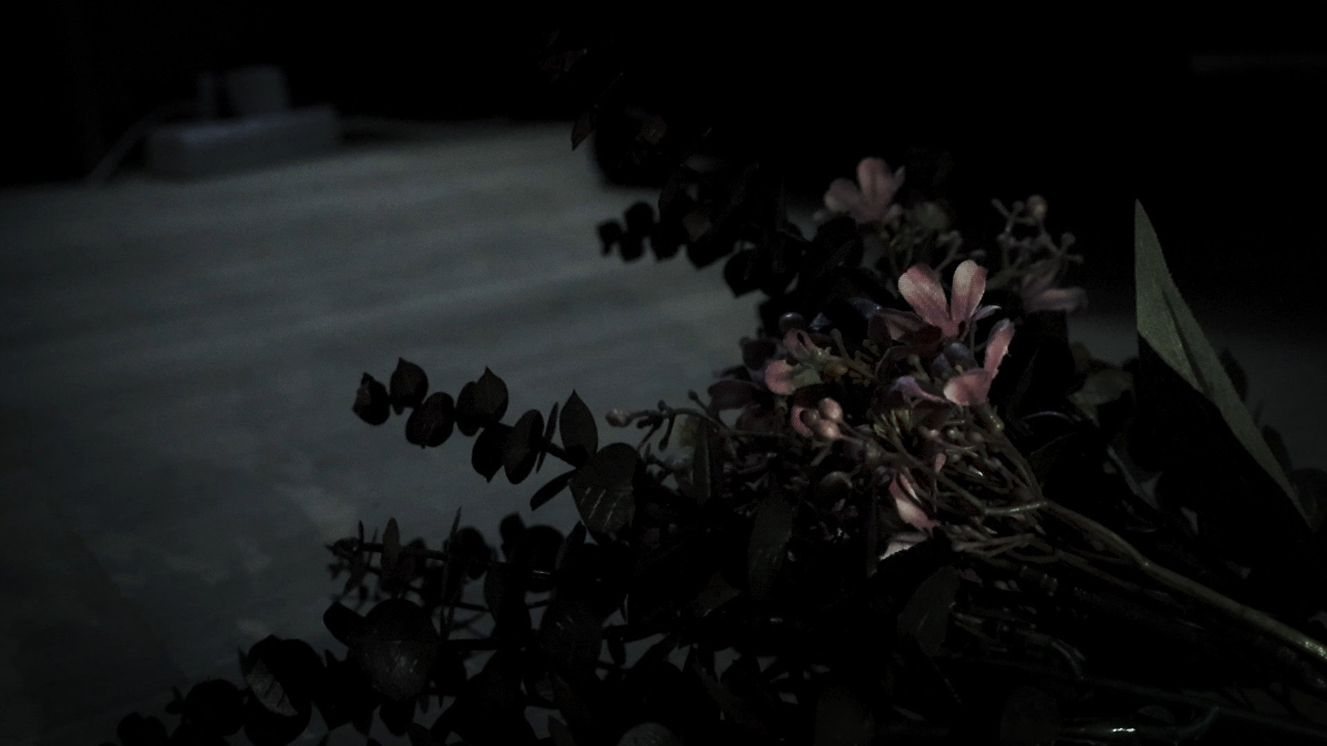 The Flower