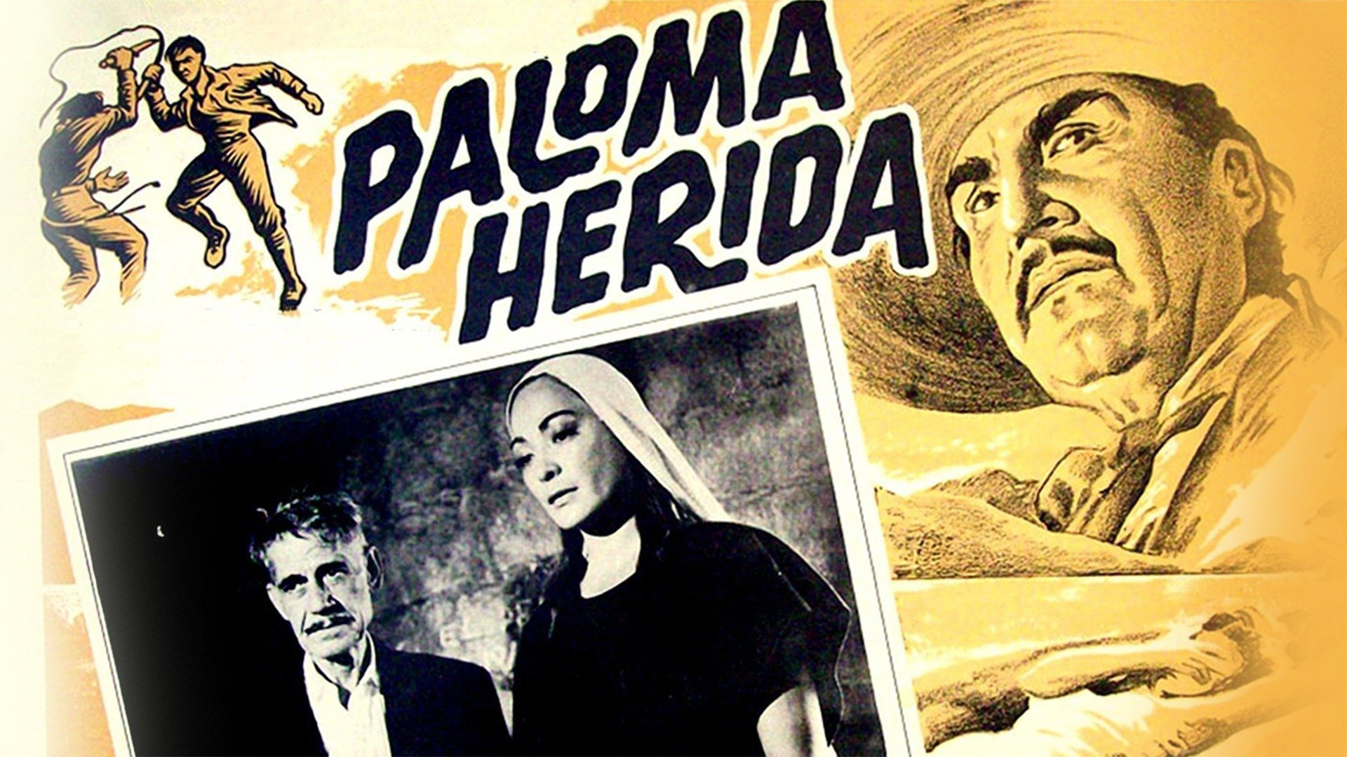 Paloma herida