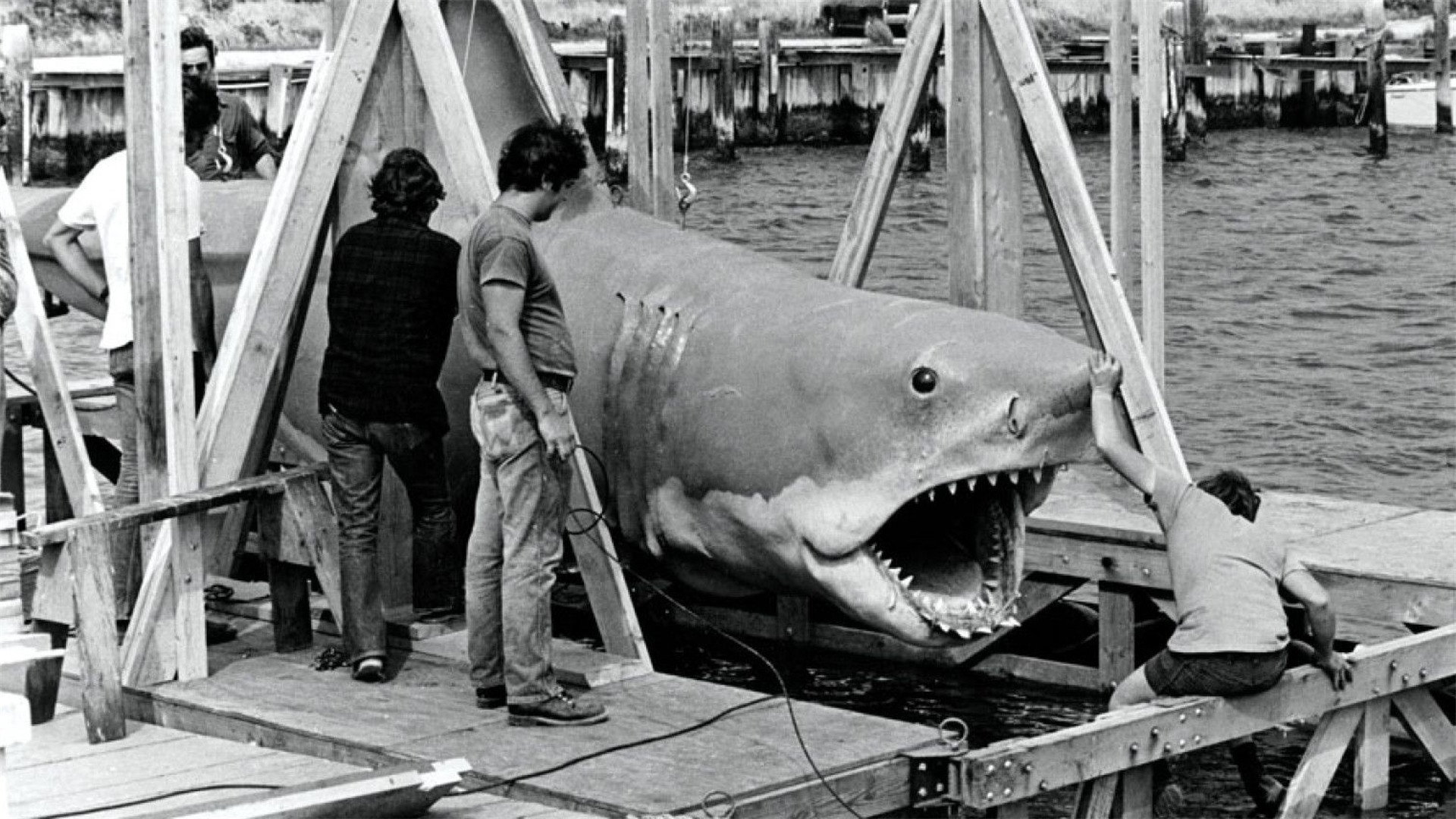 The Shark Is Still Working