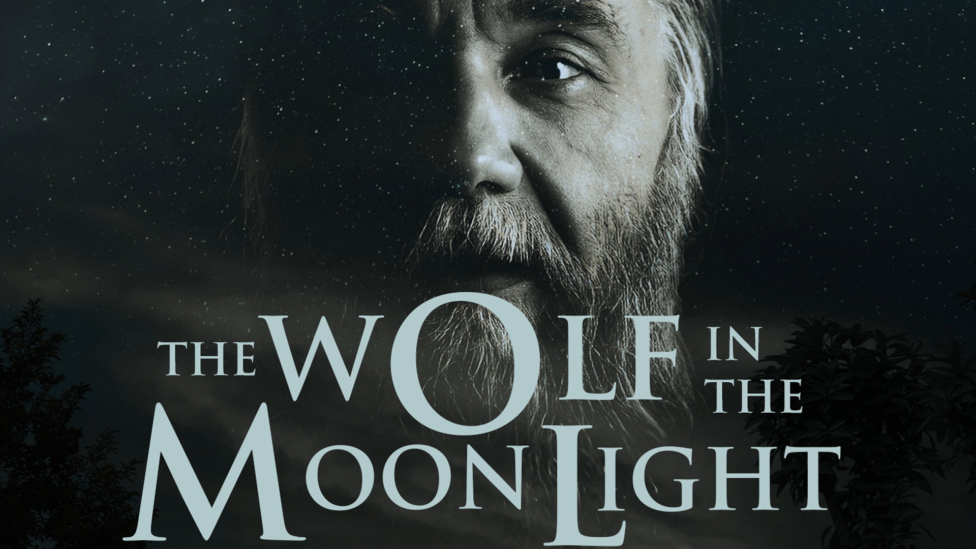 The Wolf in the Moonlight