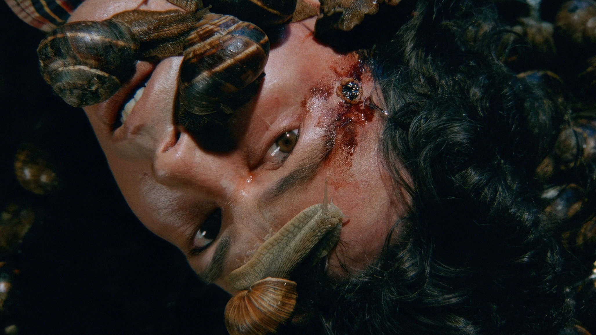 Snails in the Head