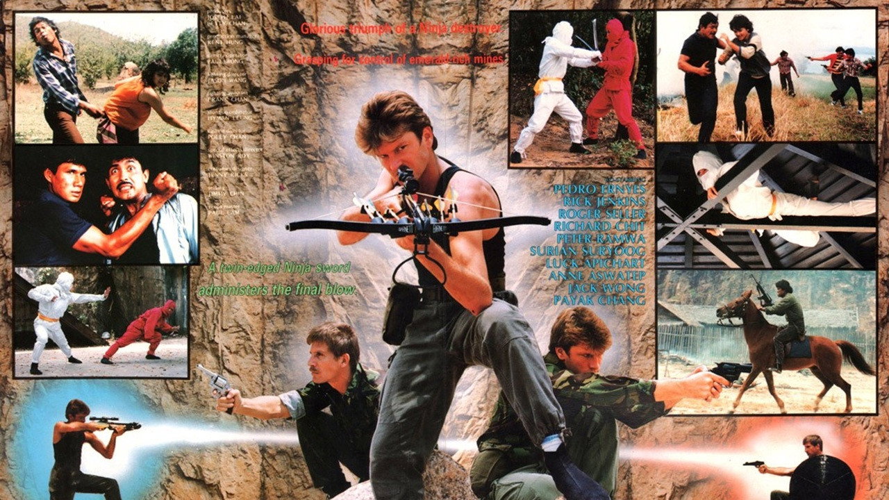 Ninja Destroyer