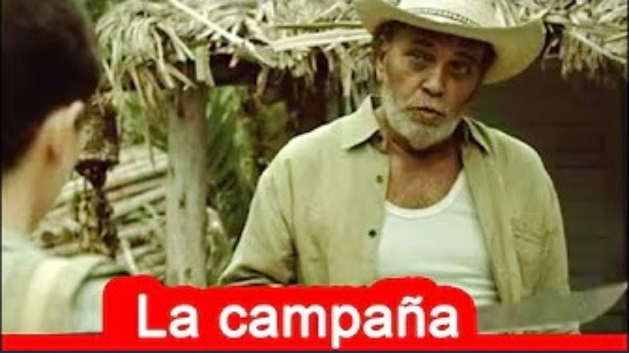 The Campaign