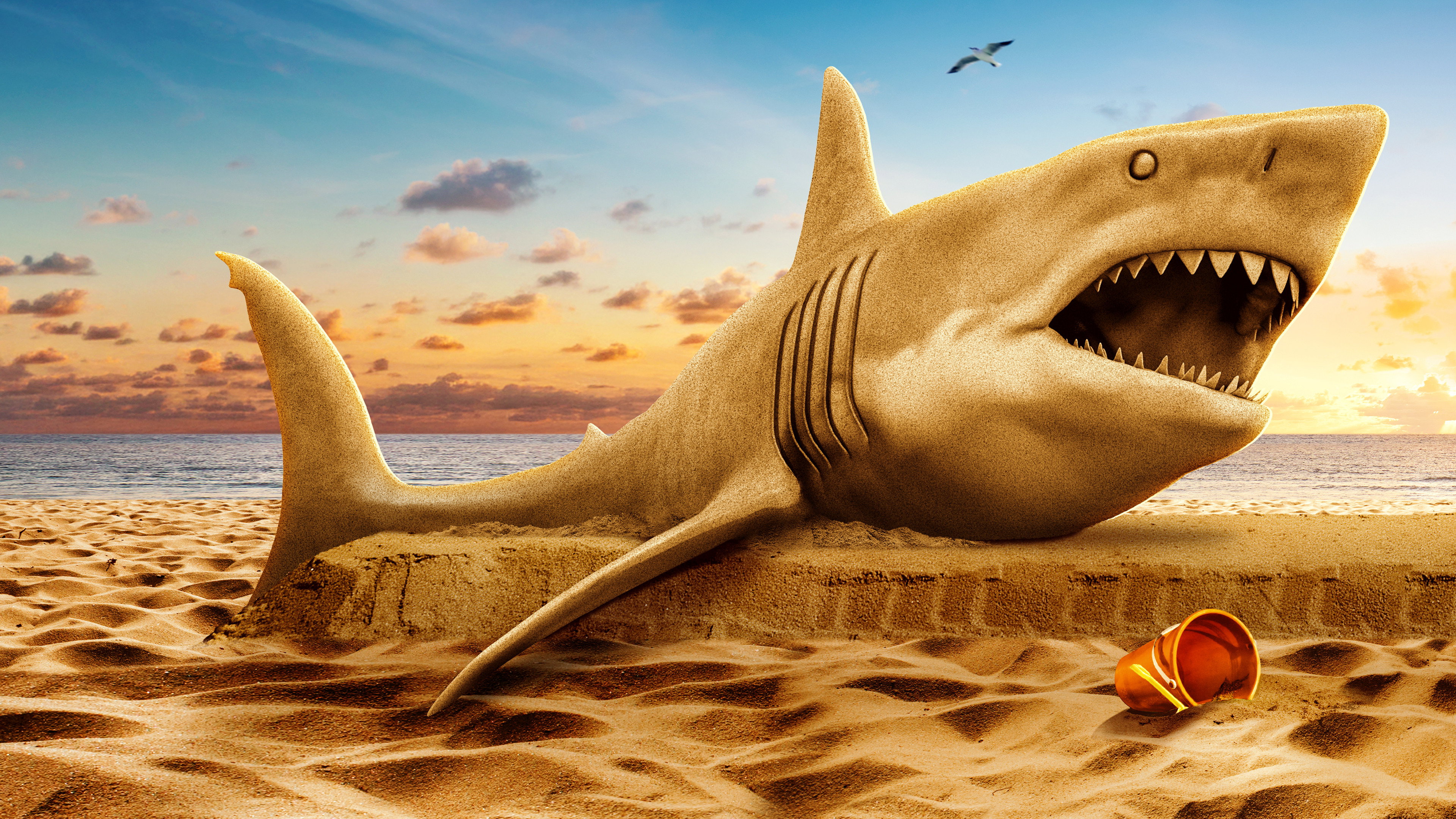 Shark Week