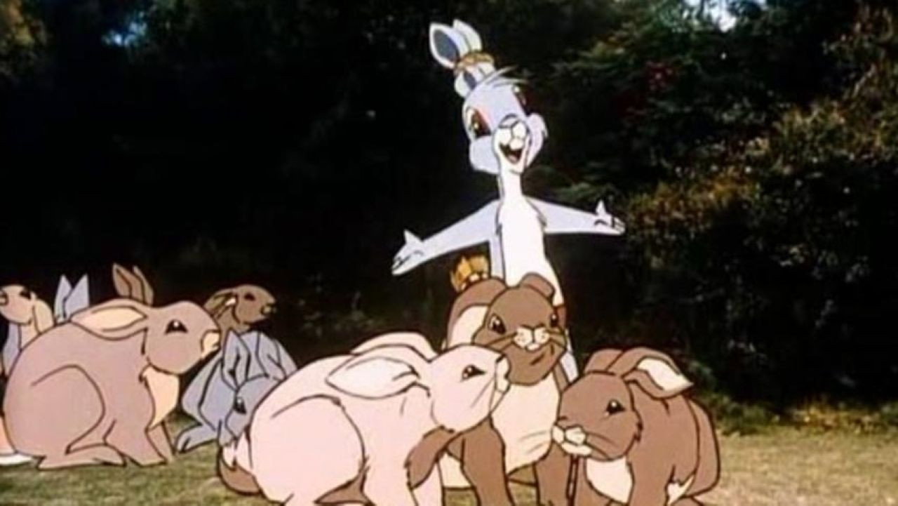Dot and the Bunny
