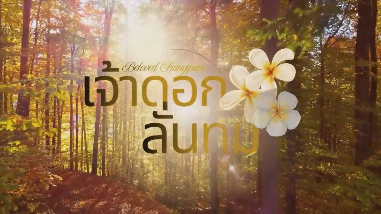 Beloved Frangipani
