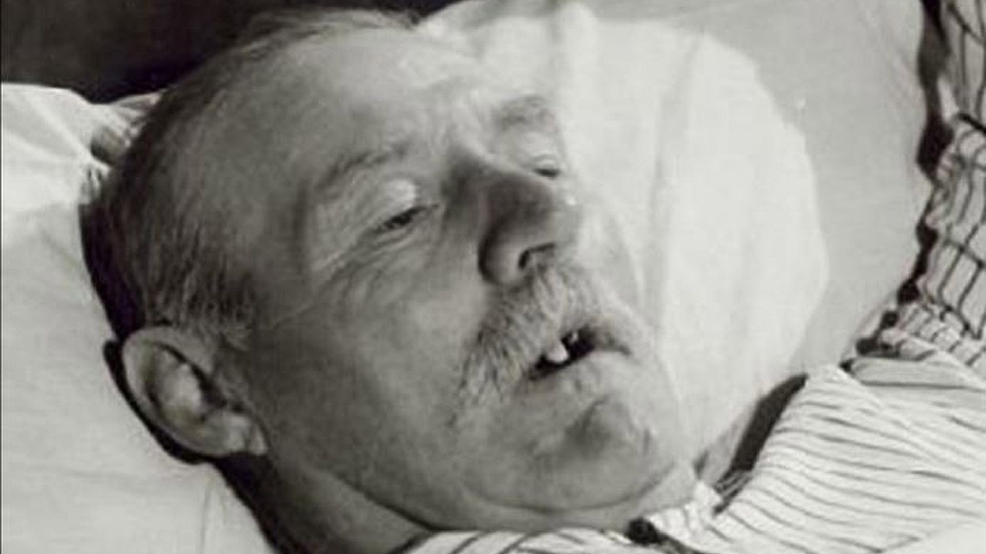 Life and Death in Flanders