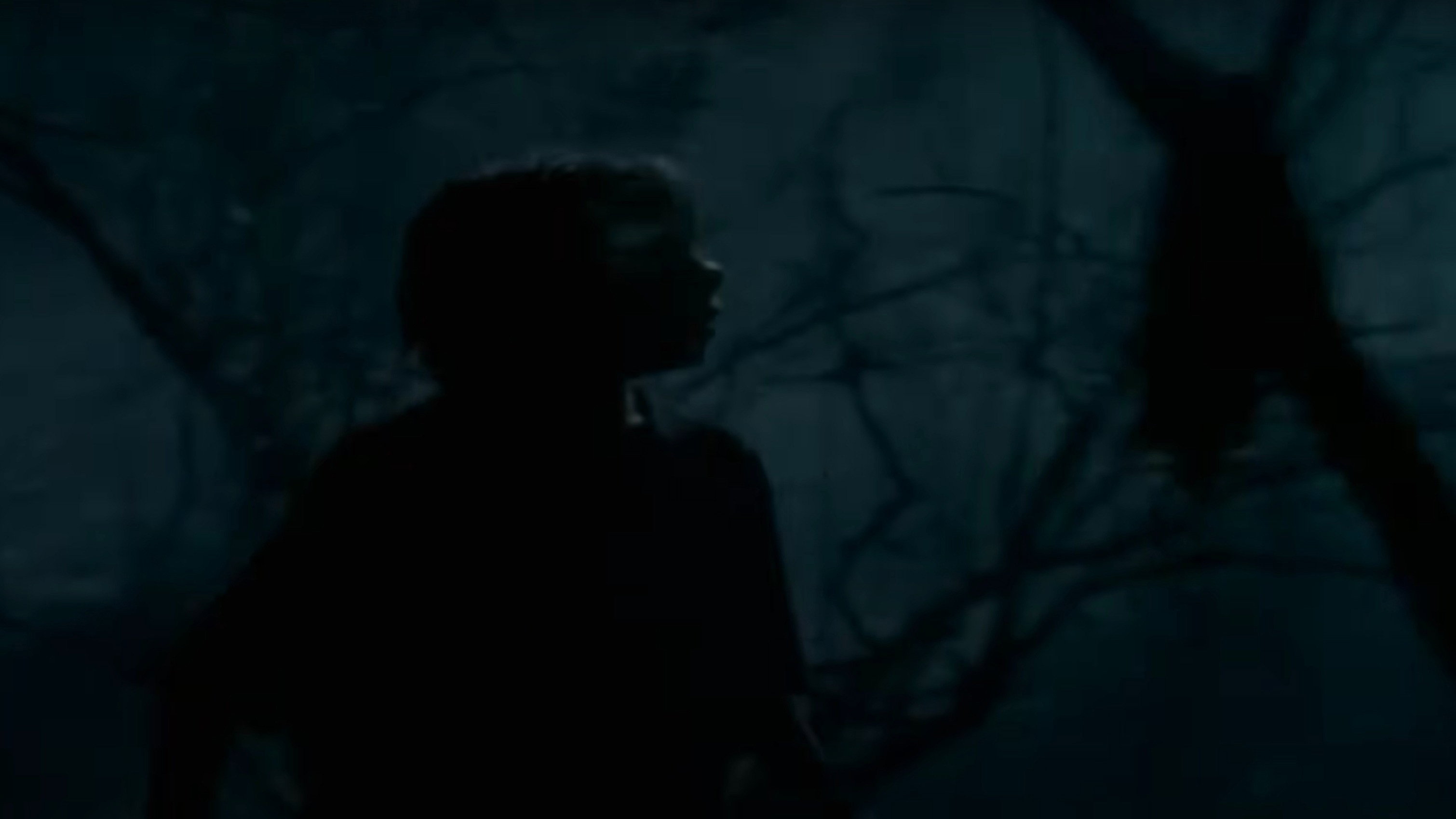 Goosebumps: The Werewolf of Fever Swamp
