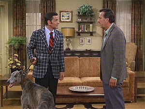 And Leave the Greyhound to Us?