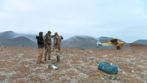 Alaska Moose (2)