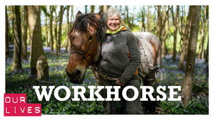 Workhorse