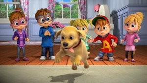 My Life as a Dog