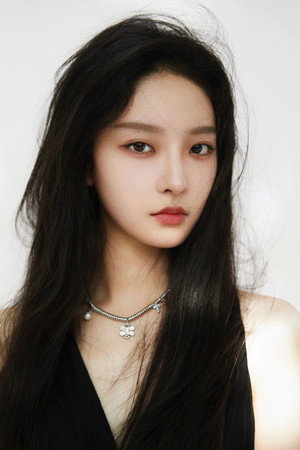 Yang Shuyi