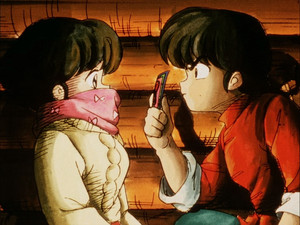 S.O.S.! The Wrath of Happosai