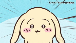 Episode 281