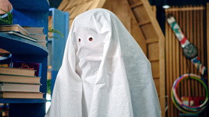 The Sheet Lady