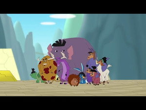 Eco Kuzco