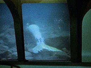 The Mermaid