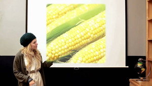 Presentation 3