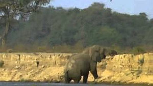Vanishing Pools of the Zambezi
