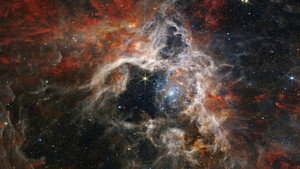 Journeying into the unknown