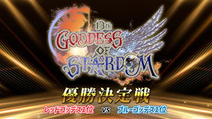 Stardom 13th Goddesses of Stardom Tag League ~Championship Match~