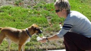 Dogsitter
