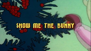 Show Me the Bunny