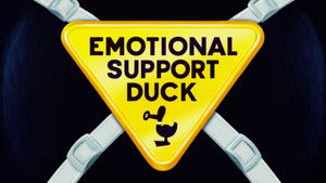 Emotional Support Duck